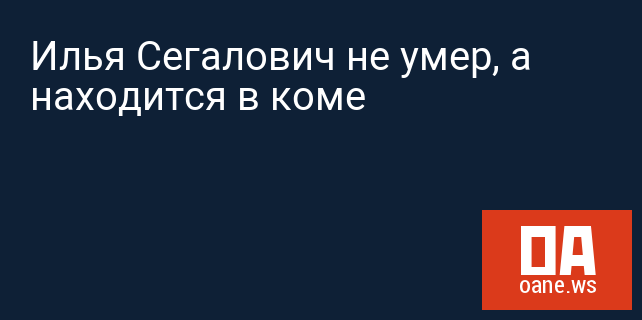 Илья Сегалович не умер, а находится в коме