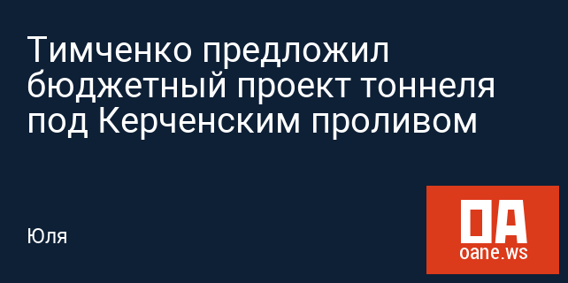 Тимченко предложил бюджетный проект тоннеля под Керченским проливом