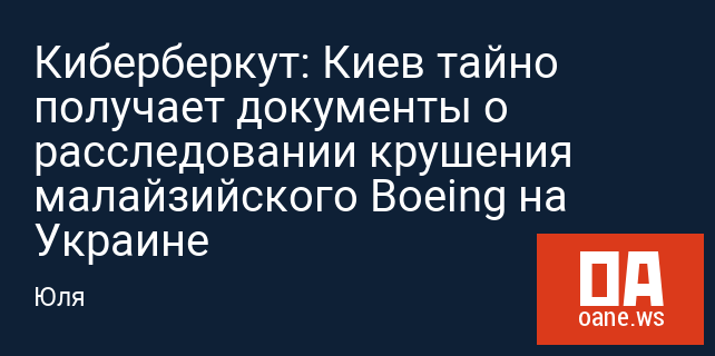 Киберберкут: Киев тайно получает документы о расследовании крушения малайзийского Boeing на Украине
