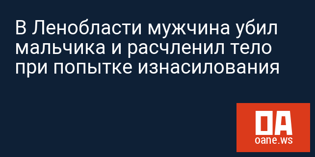 В Ленобласти мужчина убил мальчика и расчленил тело при попытке изнасилования