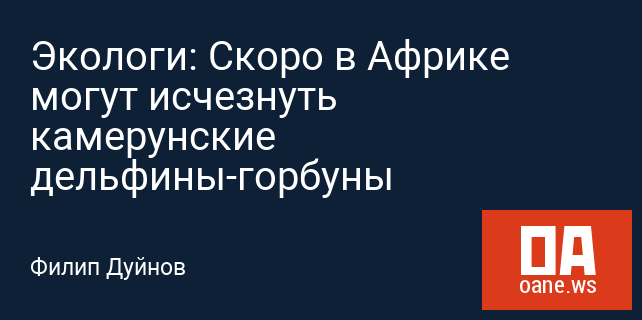Экологи: Скоро в Африке могут исчезнуть камерунские дельфины-горбуны