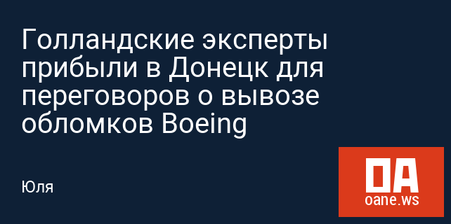 Голландские эксперты прибыли в Донецк для переговоров о вывозе обломков Boeing