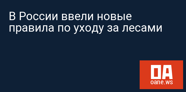 В России ввели новые правила по уходу за лесами