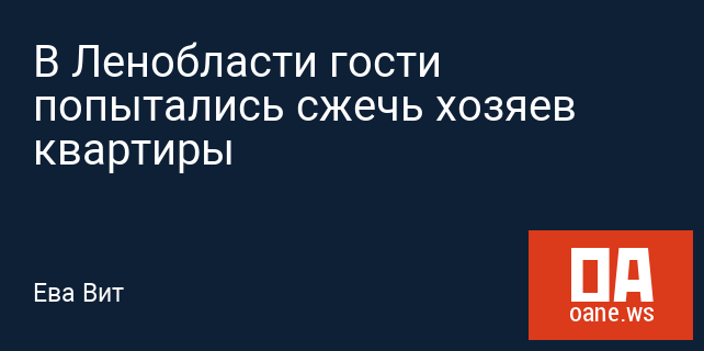 В Ленобласти гости попытались сжечь хозяев квартиры