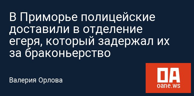 В Приморье полицейские доставили в отделение егеря, который задержал их за браконьерство