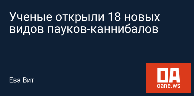 Ученые открыли 18 новых видов пауков-каннибалов