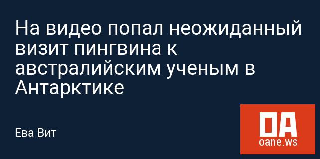 На видео попал неожиданный визит пингвина к австралийским ученым в Антарктике