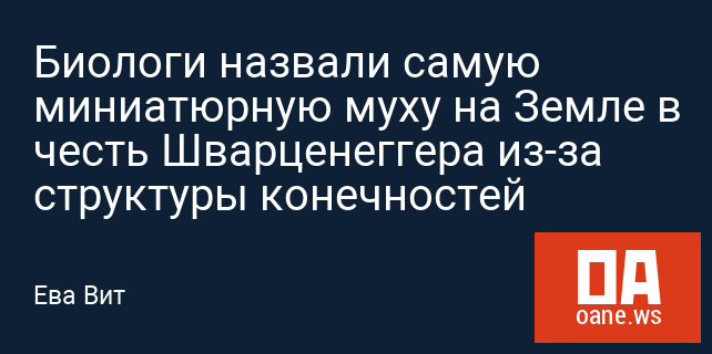 Биологи назвали самую миниатюрную муху на Земле в честь Шварценеггера из-за структуры конечностей