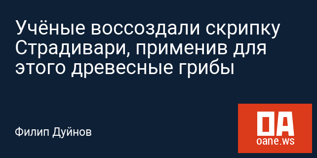 Учёные воссоздали скрипку Страдивари, применив для этого древесные грибы