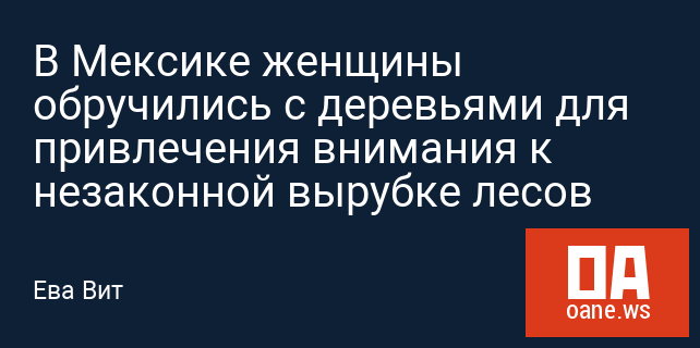 В Мексике женщины обручились с деревьями для привлечения внимания к незаконной вырубке лесов
