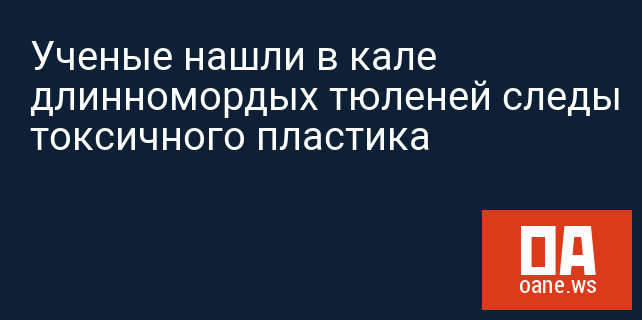 Ученые нашли в кале длинномордых тюленей следы токсичного пластика