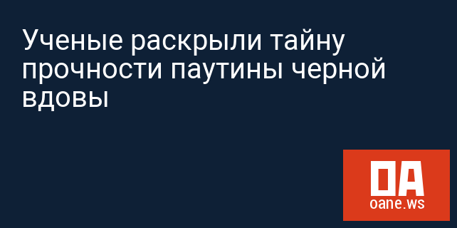 Ученые раскрыли тайну прочности паутины черной вдовы