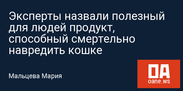 Эксперты назвали полезный для людей продукт, способный смертельно навредить кошке