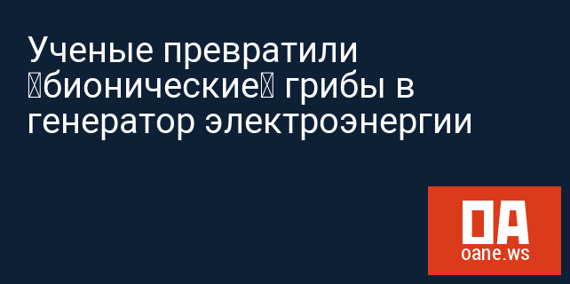 Ученые превратили «бионические» грибы в генератор электроэнергии