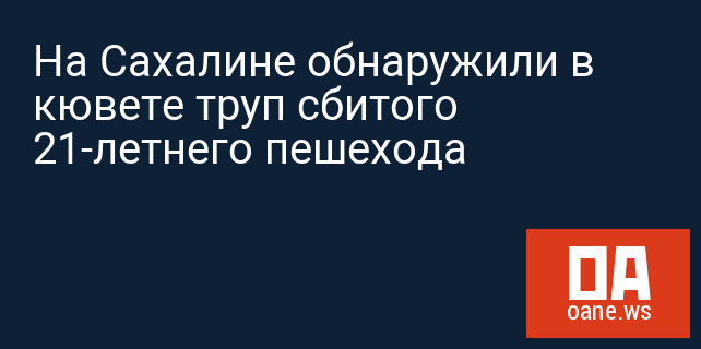 На Сахалине обнаружили в кювете труп сбитого 21-летнего пешехода На Сахалине обнаружили в кювете труп сбитого 21-летнего пешехода