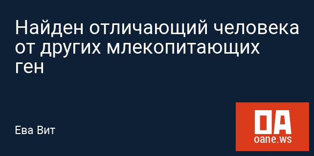 Найден отличающий человека от других млекопитающих ген