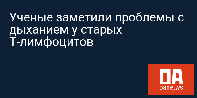 Ученые заметили проблемы с дыханием у старых Т-лимфоцитов Ученые заметили проблемы с дыханием у старых Т-лимфоцитов
