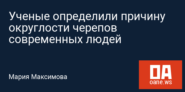Ученые определили причину округлости черепов современных людей