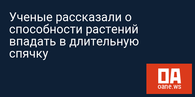 Ученые рассказали о способности растений впадать в длительную спячку Ученые рассказали о способности растений впадать в длительную спячку