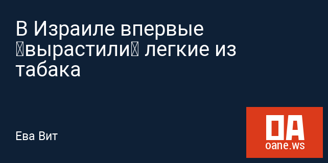 В Израиле впервые «вырастили» легкие из табака В Израиле впервые «вырастили» легкие из табака