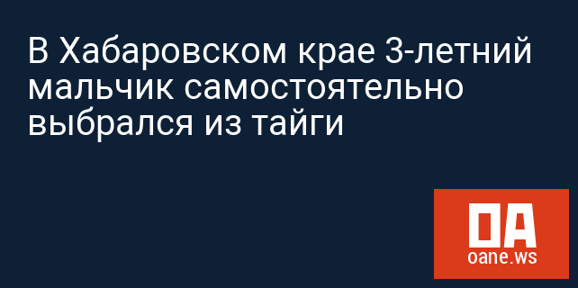 В Хабаровском крае 3-летний мальчик самостоятельно выбрался из тайги В Хабаровском крае 3-летний мальчик самостоятельно выбрался из тайги