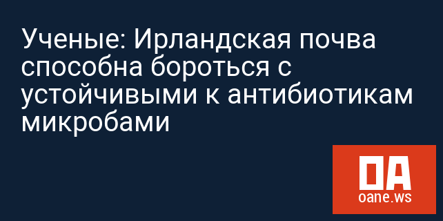 Ученые: Ирландская почва способна бороться с устойчивыми к антибиотикам микробами