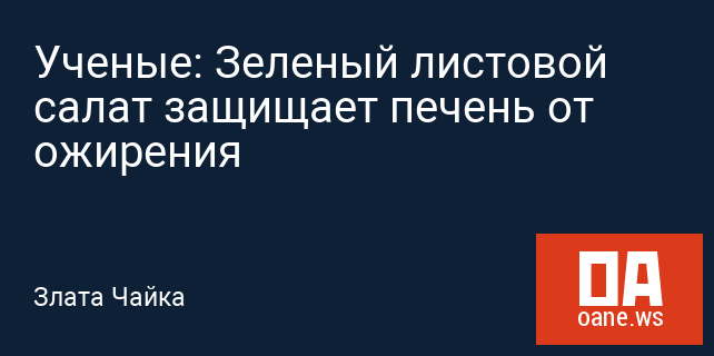 Ученые: Зеленый листовой салат защищает печень от ожирения Ученые: Зеленый листовой салат защищает печень от ожирения