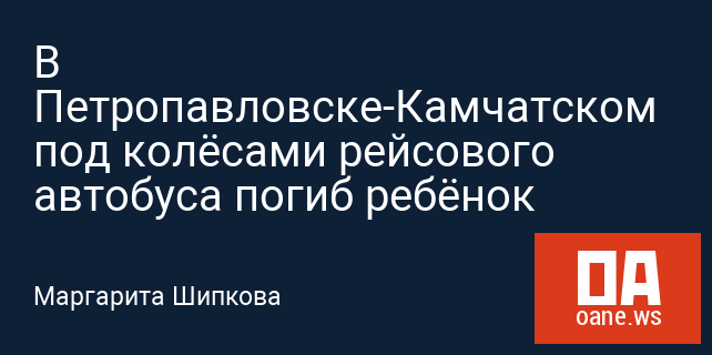 В Петропавловске-Камчатском под колёсами рейсового автобуса погиб ребёнок