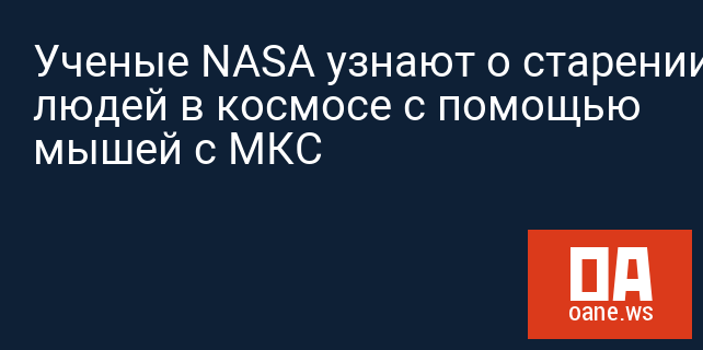 Ученые NASA узнают о старении людей в космосе с помощью мышей с МКС Ученые NASA узнают о старении людей в космосе с помощью мышей с МКС