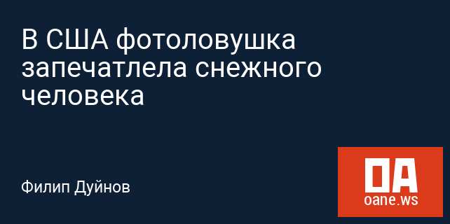 В США фотоловушка запечатлела снежного человека В США фотоловушка запечатлела снежного человека