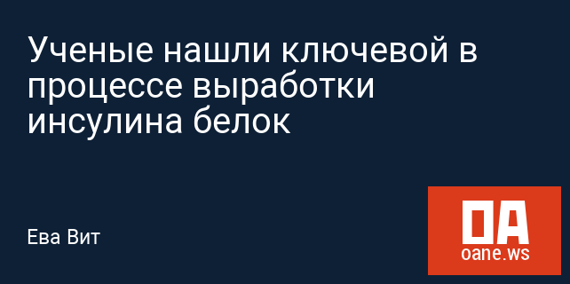 Ученые нашли ключевой в процессе выработки инсулина белок Ученые нашли ключевой в процессе выработки инсулина белок