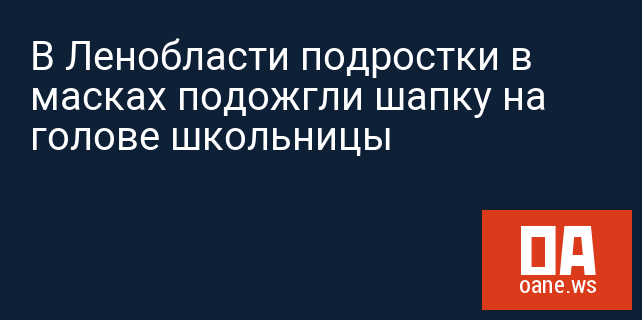 В Ленобласти подростки в масках подожгли шапку на голове школьницы В Ленобласти подростки в масках подожгли шапку на голове школьницы