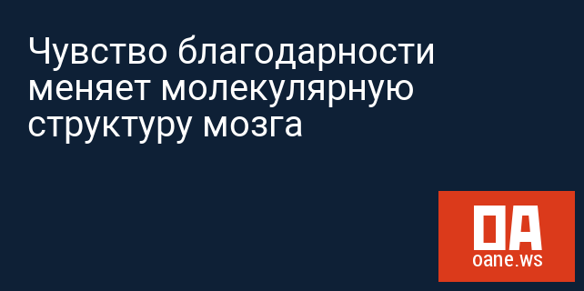 Чувство благодарности меняет молекулярную структуру мозга