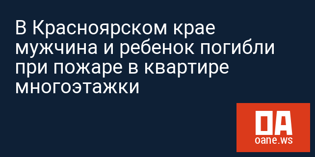 В Красноярском крае мужчина и ребенок погибли при пожаре в квартире многоэтажки В Красноярском крае мужчина и ребенок погибли при пожаре в квартире многоэтажки