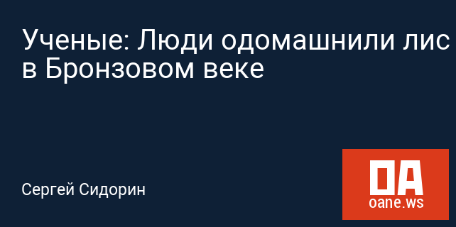 Ученые: Люди одомашнили лис в Бронзовом веке Ученые: Люди одомашнили лис в Бронзовом веке