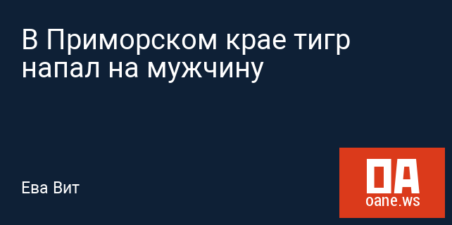 В Приморском крае тигр напал на мужчину В Приморском крае тигр напал на мужчину