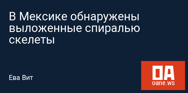 В Мексике обнаружены выложенные спиралью скелеты В Мексике обнаружены выложенные спиралью скелеты