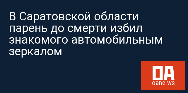 В Саратовской области парень до смерти избил знакомого автомобильным зеркалом