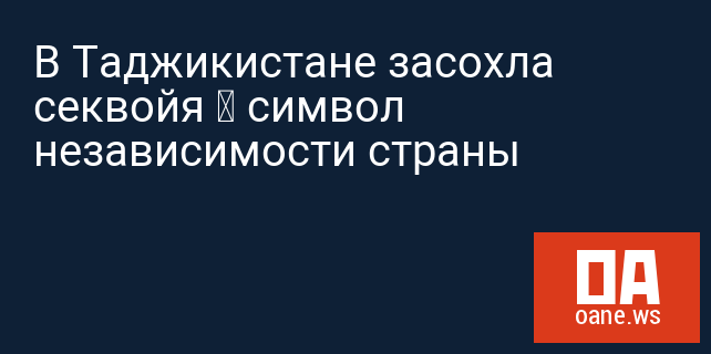В Таджикистане засохла секвойя – символ независимости страны