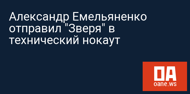 Александр Емельяненко отправил "Зверя" в технический нокаут