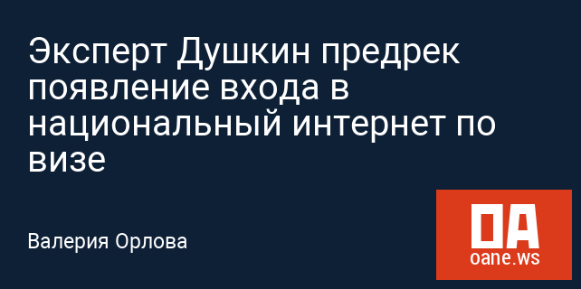 Эксперт Душкин предрек появление входа в национальный интернет по визе