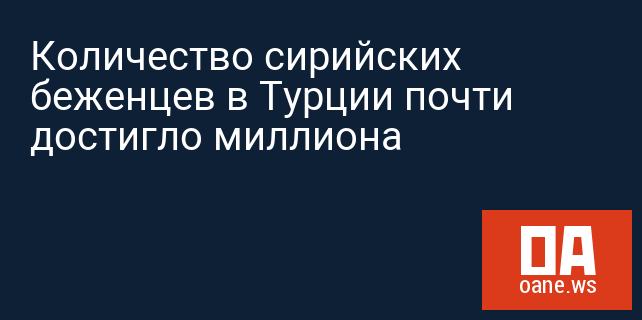 Количество сирийских беженцев в Турции почти достигло миллиона