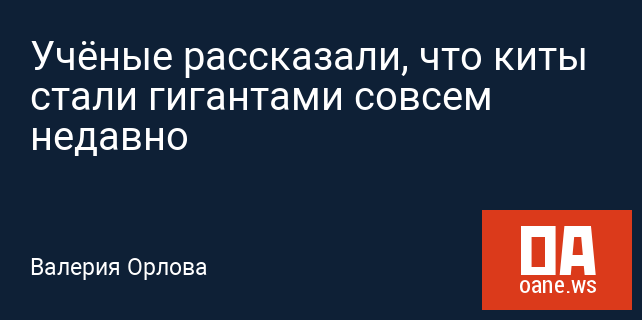 Учёные рассказали, что киты стали гигантами совсем недавно Учёные рассказали, что киты стали гигантами совсем недавно