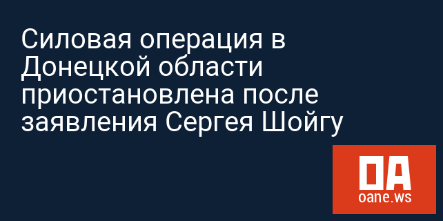 Силовая операция в Донецкой области приостановлена после заявления Сергея Шойгу