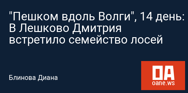 "Пешком вдоль Волги", 14 день: В Лешково Дмитрия встретило семейство лосей "Пешком вдоль Волги", 14 день: В Лешково Дмитрия встретило семейство лосей