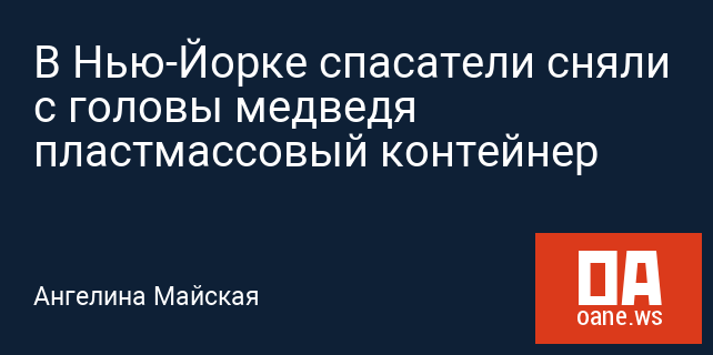 В Нью-Йорке спасатели сняли с головы медведя пластмассовый контейнер В Нью-Йорке спасатели сняли с головы медведя пластмассовый контейнер