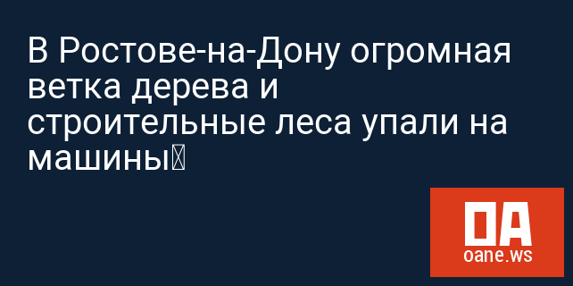 В Ростове-на-Дону огромная ветка дерева и строительные леса упали на машины В Ростове-на-Дону огромная ветка дерева и строительные леса упали на машины