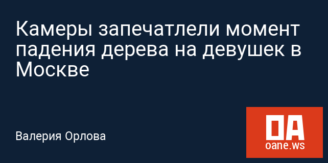 Камеры запечатлели момент падения дерева на девушек в Москве Камеры запечатлели момент падения дерева на девушек в Москве
