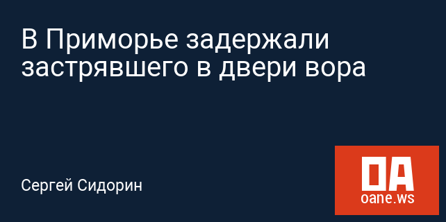 В Приморье задержали застрявшего в двери вора В Приморье задержали застрявшего в двери вора