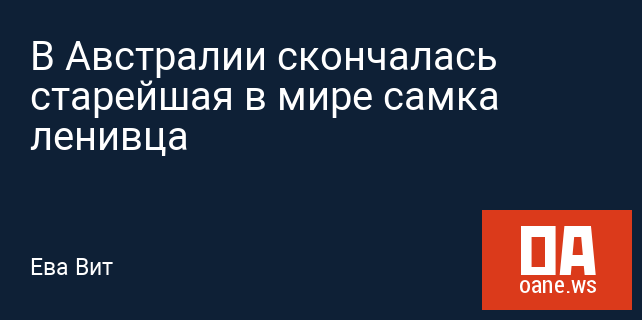 В Австралии скончалась старейшая в мире самка ленивца В Австралии скончалась старейшая в мире самка ленивца